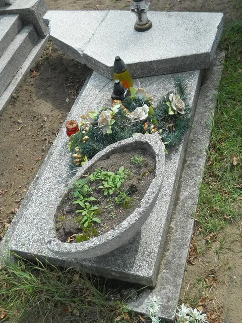 Zdjęcie grobu 16/26286