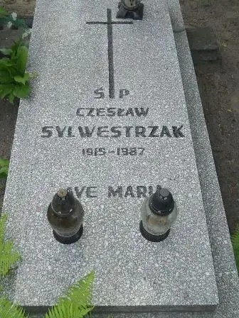 Zdjęcie grobu 40/106