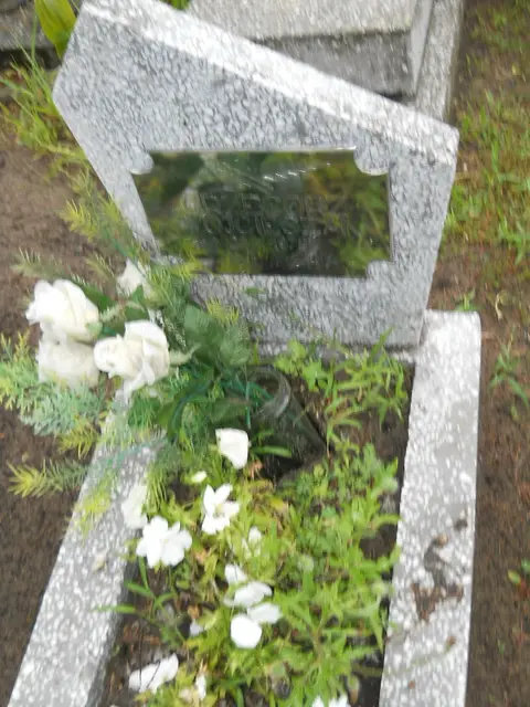 Zdjęcie grobu 21/23907