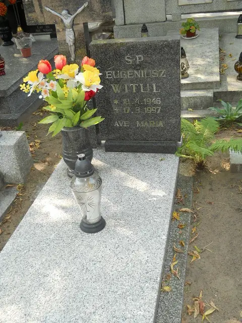 Zdjęcie grobu 19/28517