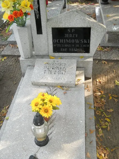 Zdjęcie grobu 15/26580