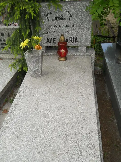 Zdjęcie grobu 7/11631