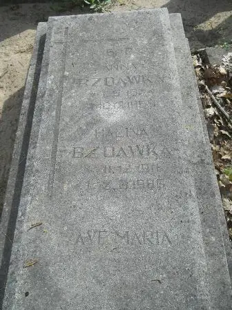 Zdjęcie grobu 27/100