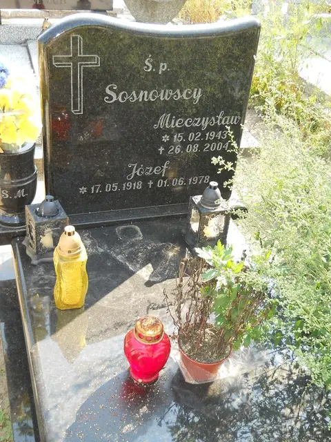 Zdjęcie grobu 14/27648