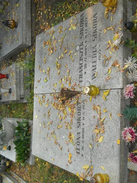 Zdjęcie grobu 15/26732