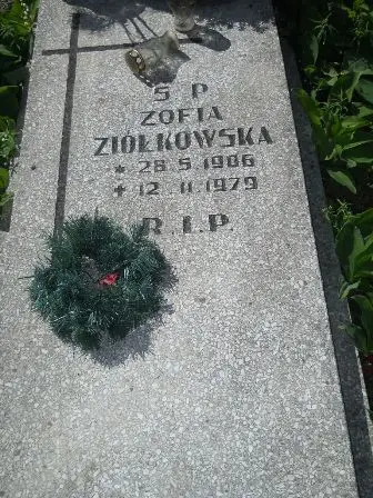 Zdjęcie grobu 35/264