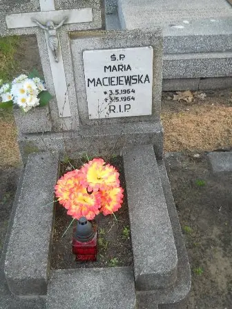 Zdjęcie grobu 7b/116