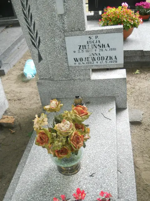 Zdjęcie grobu 13/29671