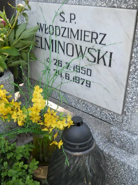 Zdjęcie grobu 8/10409