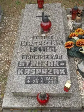 Zdjęcie grobu 36/100