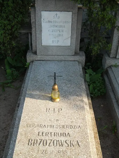 Zdjęcie grobu C/12112
