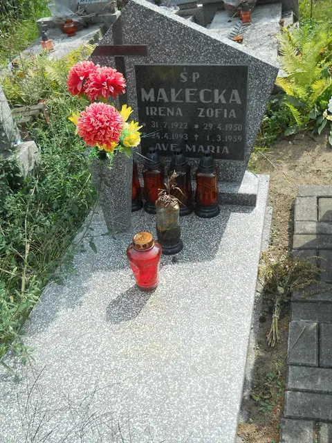 Zdjęcie grobu 16/26323