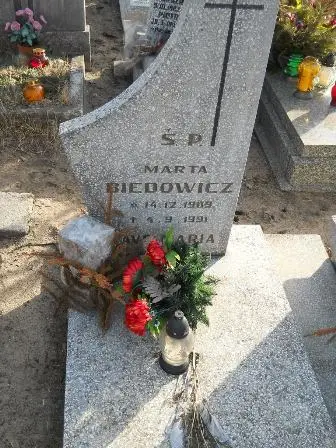 Zdjęcie grobu 100/100