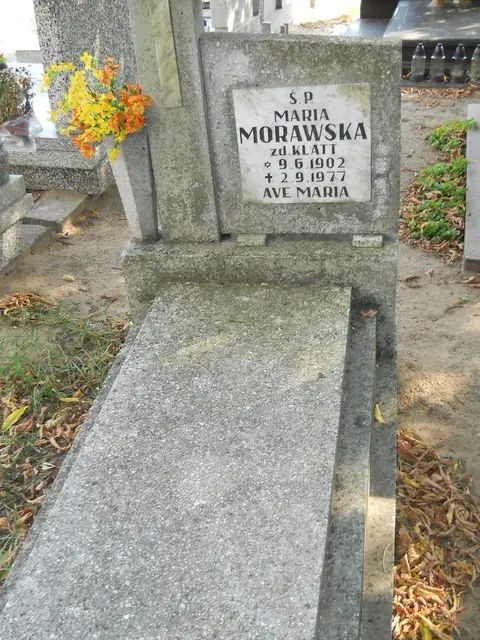 Zdjęcie grobu 19/28589
