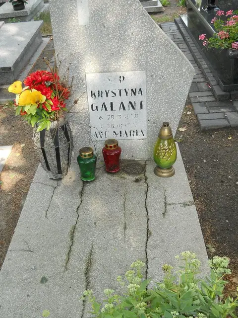 Zdjęcie grobu B/25560