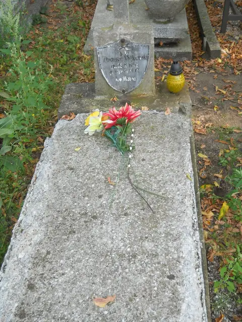 Zdjęcie grobu 15/26674