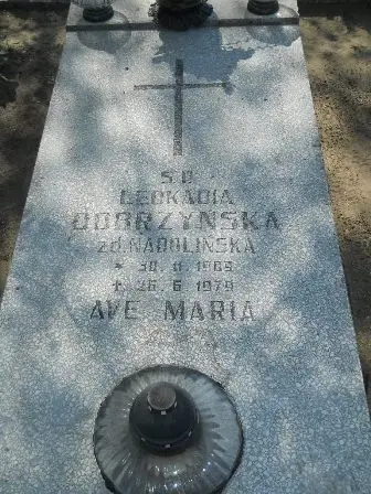 Zdjęcie grobu 11/100