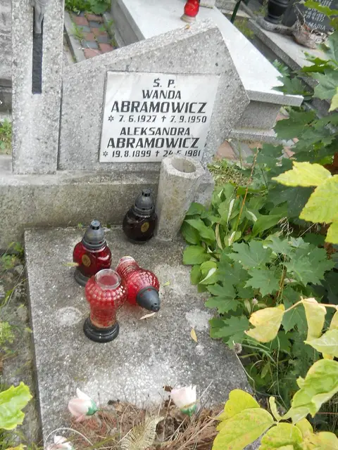 Zdjęcie grobu 14/27728