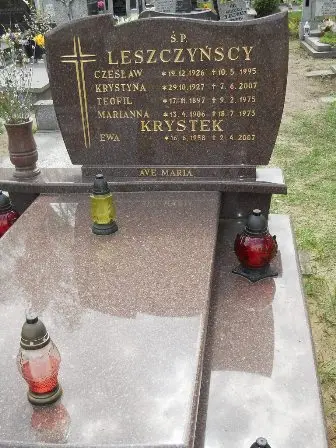 Zdjęcie grobu 40/100