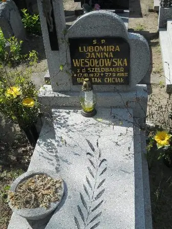 Zdjęcie grobu 24/100