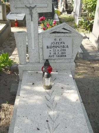 Zdjęcie grobu 24/100