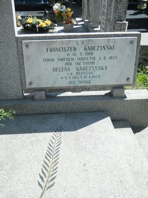 Zdjęcie grobu 8/10384