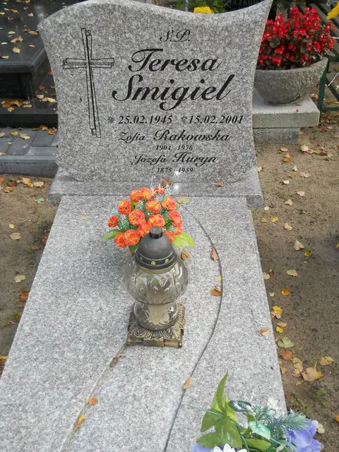 Zdjęcie grobu 15/26833