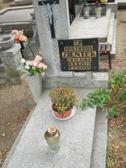 Zdjęcie grobu 12/29372