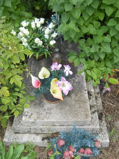 Zdjęcie grobu 15/25948