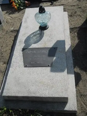 Zdjęcie grobu 3/228