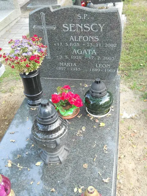 Zdjęcie grobu 14/26914