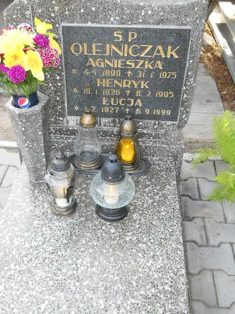 Zdjęcie grobu 8/10561
