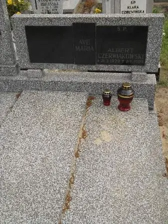 Zdjęcie grobu 22/155