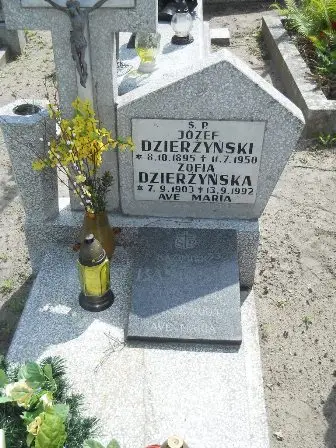 Zdjęcie grobu 25/100