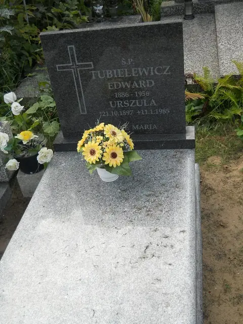 Zdjęcie grobu 11/29268