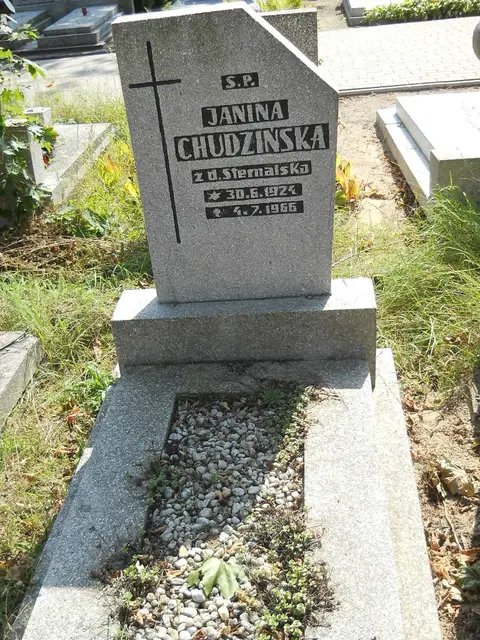 Zdjęcie grobu 18/28463