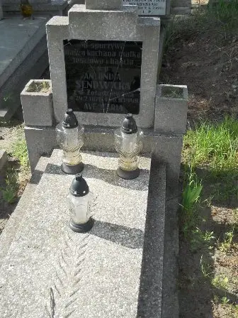 Zdjęcie grobu 20/100
