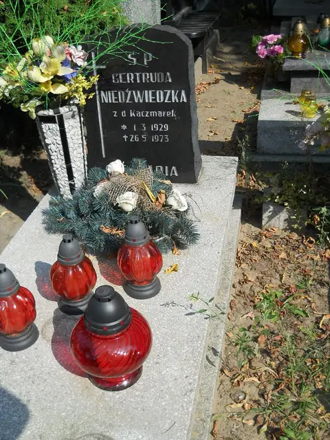Zdjęcie grobu 19/28525