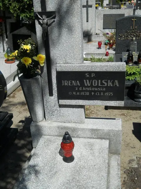 Zdjęcie grobu 8A/10118