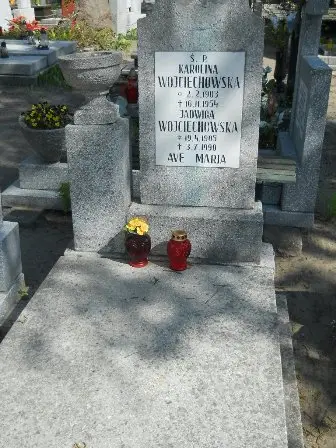 Zdjęcie grobu 28/100
