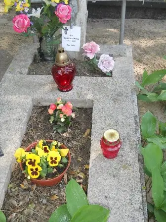 Zdjęcie grobu 26/100