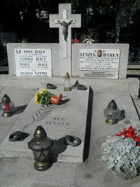 Zdjęcie grobu 5/24068