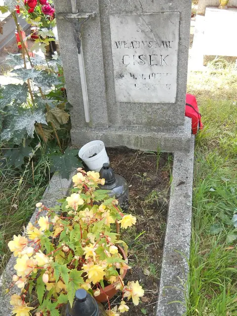 Zdjęcie grobu 17/28077