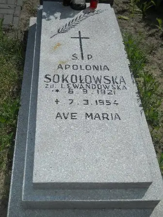 Zdjęcie grobu 25/309