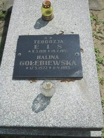 Zdjęcie grobu 25/336