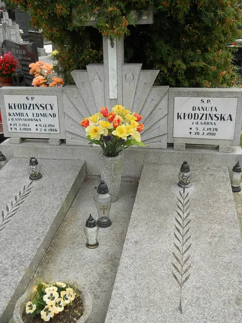 Zdjęcie grobu 9/24606