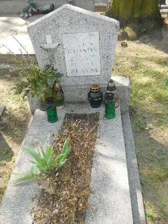 Zdjęcie grobu 11/100