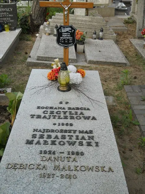 Zdjęcie grobu 7/11316