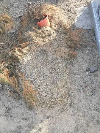 Zdjęcie grobu 100/100