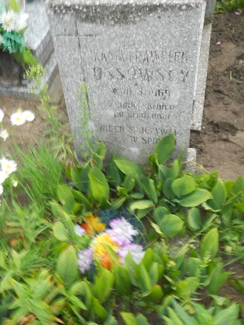 Zdjęcie grobu 21/23926